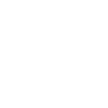 Agile Methodologies Adoption